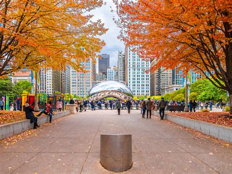 25 Best Places to See Fall Colors in Chicago