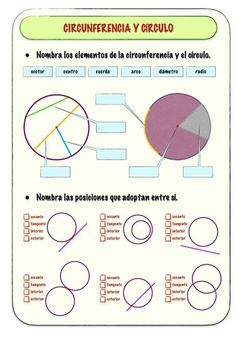 Circulo Y Circunferencia Ficha Interactiva Circulo Y Circunferencia ...