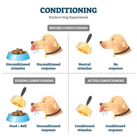 Classical Conditioning: How It Works With Examples