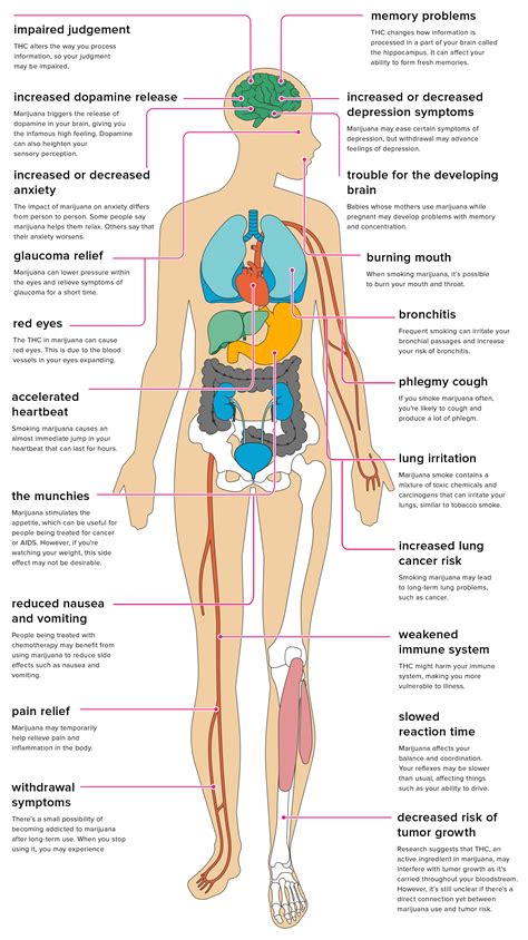 The Effects of Marijuana on Your Body