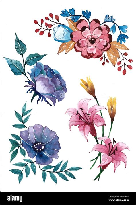 Set of flowers and leaves drawing and painting by water color Stock ...