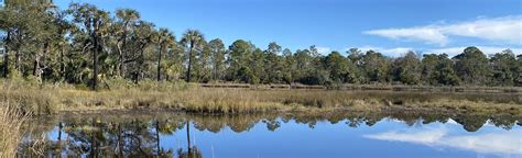 Guana Reserve Trail, Florida - 122 Reviews, Map | AllTrails