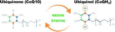 Ubiquinol is superior to ubiquinone to enhance Coenzyme Q10 status in ...