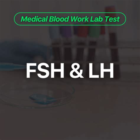 FSH & LH Blood Work Lab Test - Wittmer Rejuvenation Clinic