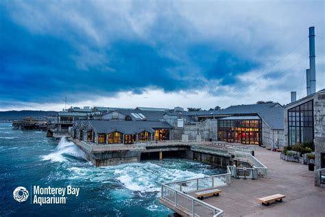 Monterey Bay Aquarium in Monterey | Monterey Bay Aquarium 886 Cannery ...