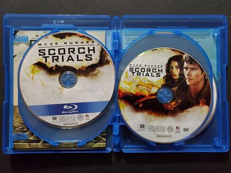 Maze Runner Trilogy (Blu-ray/DVD, 2018, 6-Disc Set) Scorch Trails Death ...