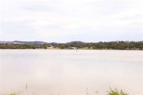 Lake Albert gets the all clear | Council News