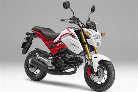 2020 Honda Grom would be perfect for PH - Motorcycle News