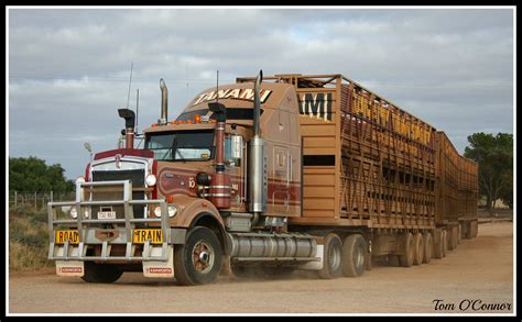 Tanami Livestock | Kenworth trucks, Train truck, Trucks