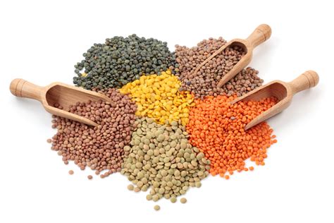 Lentil Benefits & Uses for People & the Planet