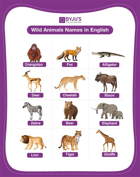 Wild Animals Chart For Kids Learn About Jungle Or Forest Animals At ...