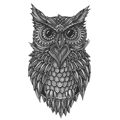 Doodle Owl on Behance