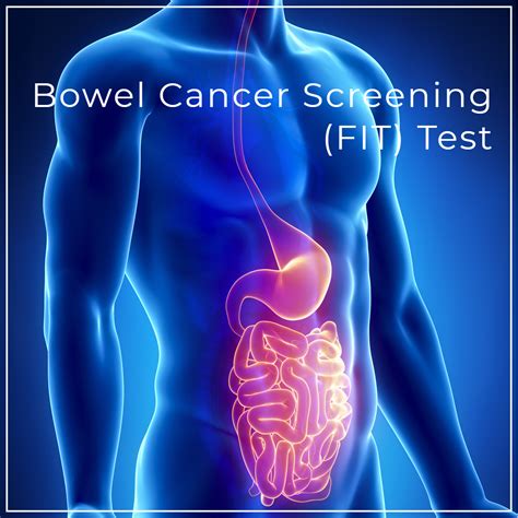 All You Need To Know About The FIT Test | GastroLife