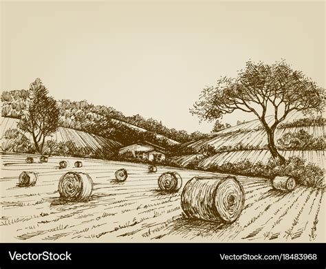 Harvest landscape farm field and hay bales Vector Image