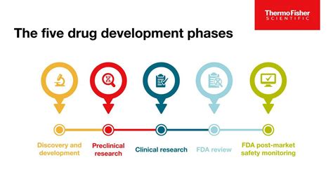 The 5 Drug Development Phases - Patheon pharma services