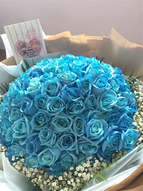 blue roses delivery singapore - Alanna Sheppard