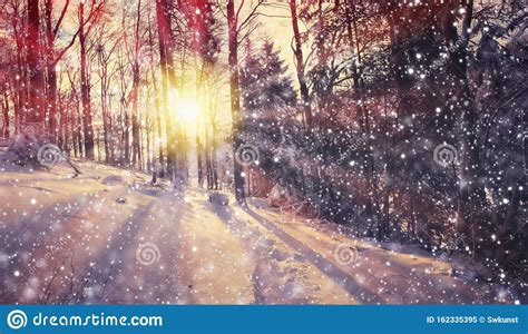 Winter Scenery in Germany with Snowfall and Sunlight. Stock Image ...