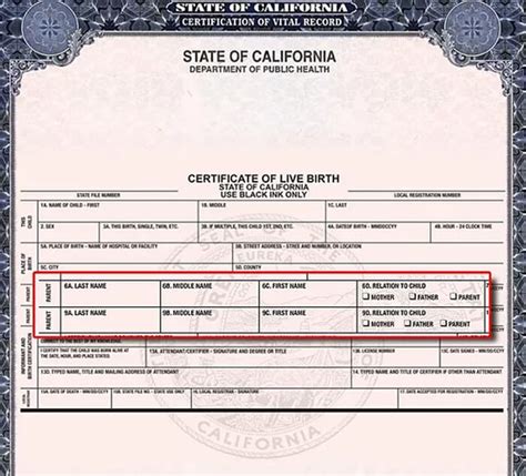 Understanding The Document Number On Birth Certificate: Importance And ...