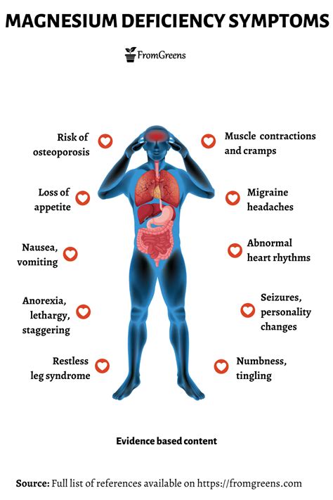 Magnesium Deficiency In Human