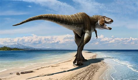 King of Gore: T-Rex's 2.5 Tonne Forefather Found in Utah [PHOTOS]