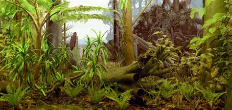 Carboniferous terrestrial communities