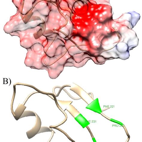 Example of binding region selection. A) Coulomb surface colouring of ...