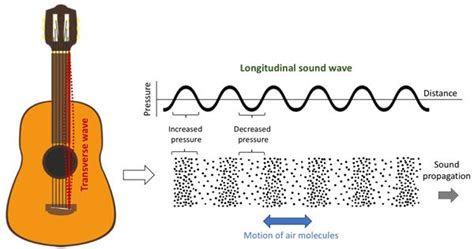 An Example Of A Transverse Wave