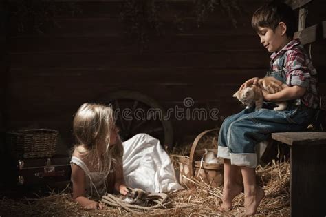 Children Playing with a Kittens Stock Image - Image of play, indoor ...