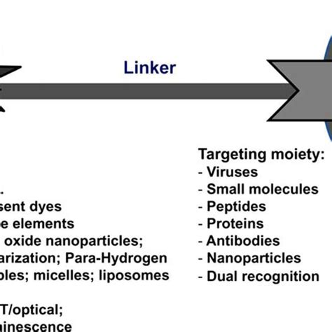 (PDF) Design and Development of Molecular Imaging Probes