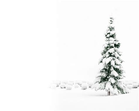 Snowy Christmas Tree 1280x1024 - Wallpaper - FreeChristmasWallpapers.net