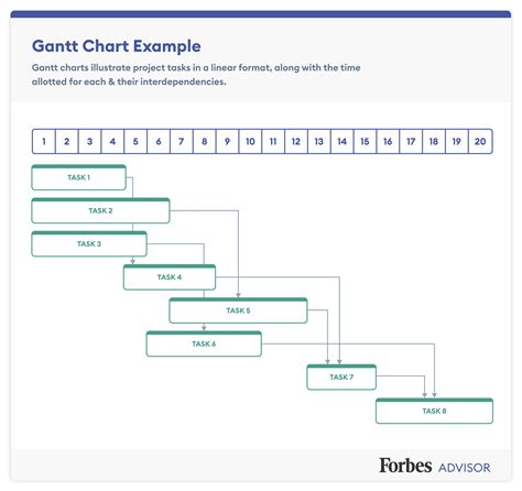 Pert Chart Vs Gantt Chart – Forbes Advisor