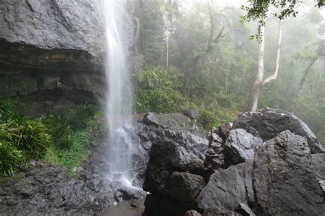 Springbrook Waterfalls & Walks | Full Guide