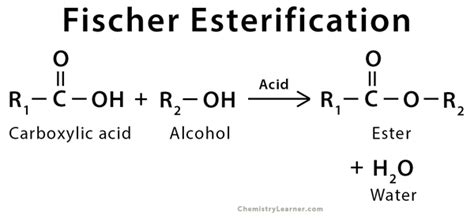 fischer esterification examples