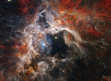 James Webb Space Telescope Observes Cosmic Tarantula Called 30 Doradus ...