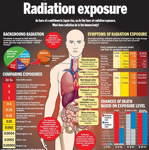 What Effect Does Radiation Have on the Body?