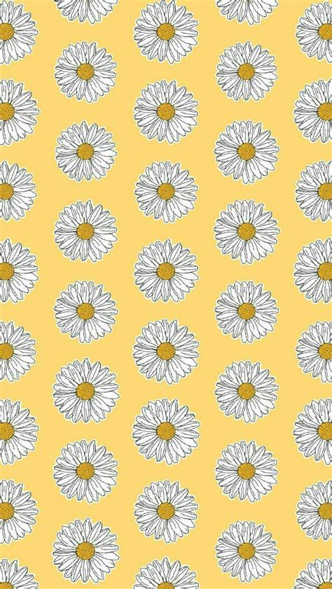 Yellow Daisy Wallpapers - Top Free Yellow Daisy Backgrounds ...