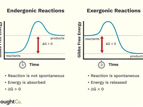 Endergonic Reaction Graph