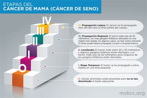 コスト 降臨 現代 cancer de seno etapa 4 tiempo de vida - lcl.jp