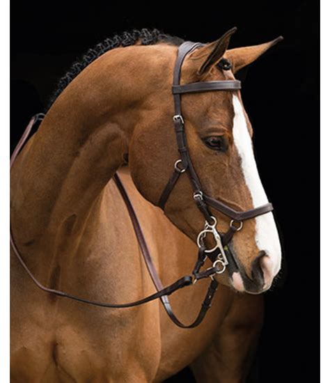 RAMBO MICKLEM Competition Bridle - Kramer Equestrian