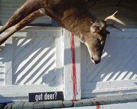 Is Gutting A Deer In Public A Crime? - Big Deer