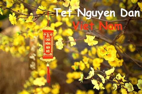 Tet Nguyen Dan – Tet co truyen cua Viet Nam