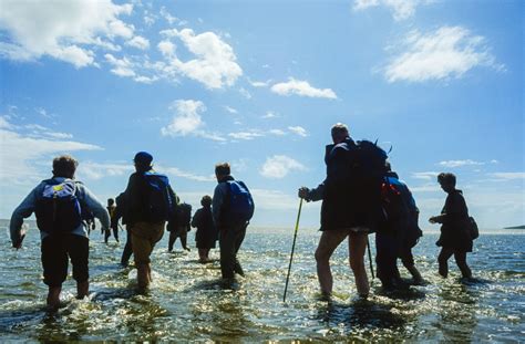 Cross Bay Walks, Morecambe Bay | Visit Morecambe Bay