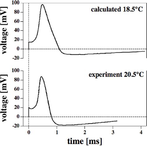 Action potential in the squid giant axons at the indicated temperature ...