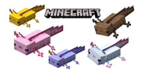 Minecraft Axolotl: How to Tame, Breed, and Summon Minecraft Axolotl ...