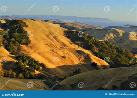 Golden Hills of California stock image. Image of america - 11266705