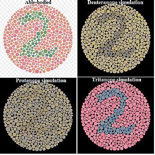 Color vision test - Wikipedia