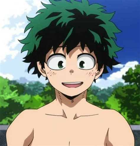 Pin de Sasha Ayala en Izuku Midoriya | Personajes de anime, Dibujos ...