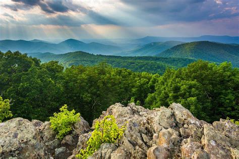 Shenandoah National Park Hiking | Top 5 Must Hike Trails