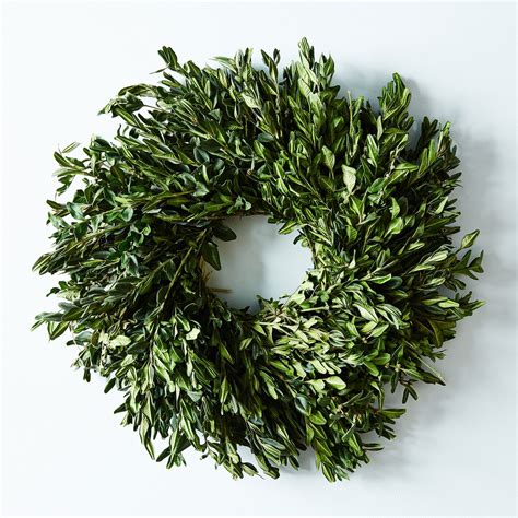 Boxwood Wreath - Wreath - Exclusive | Shop Food52 on Food52