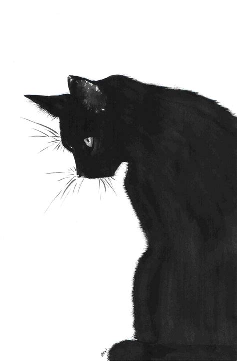 Black Cat by Midniterain on DeviantArt